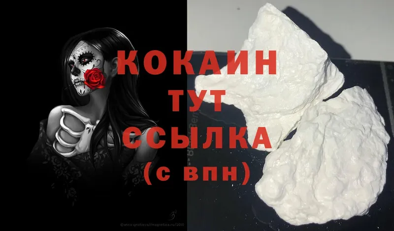 Cocaine FishScale  наркота  площадка клад  Опочка 