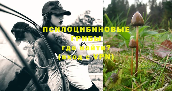 тгк Наволоки