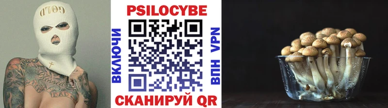 Псилоцибиновые грибы GOLDEN TEACHER  как найти закладки  Опочка 