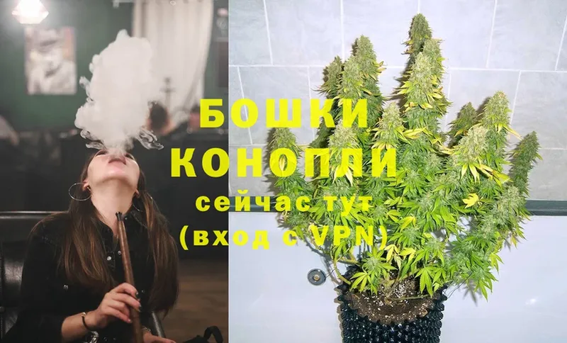 Каннабис White Widow  даркнет сайт  Опочка 